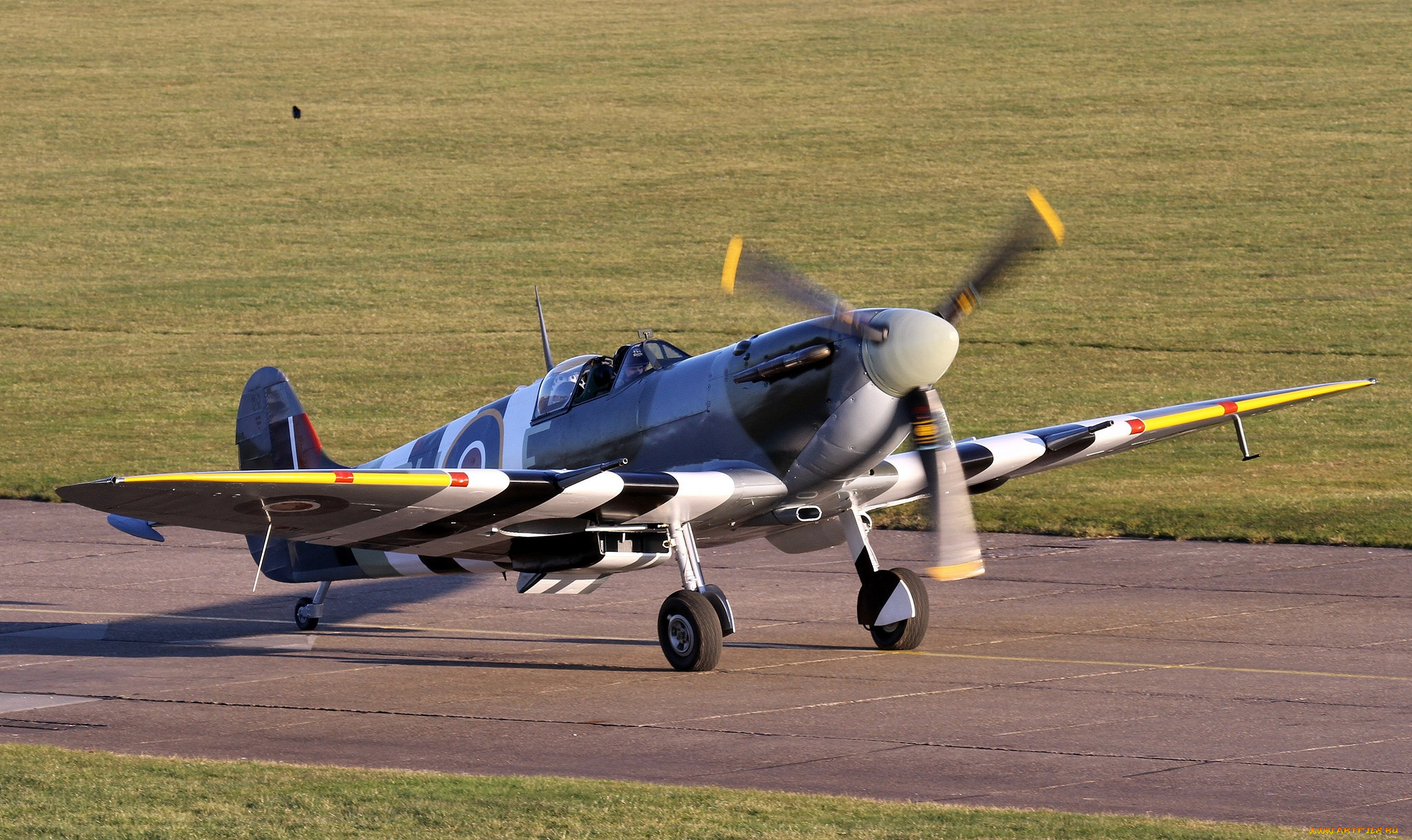 spitfire, ,   , 